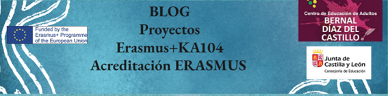 Blog Erasmus